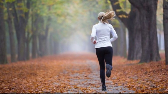 Buat yang rutin olahraga terutama Lari, sebaiknya kamu menginstal aplikasi-aplikasi berikut, di Smartphone Android yang kamu miliki.