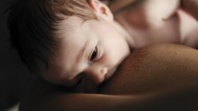 Ilustrasi menyusui/ASI.