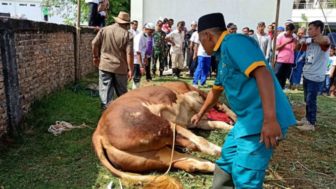 VIVA / Andri Mardiansyah (Padang)