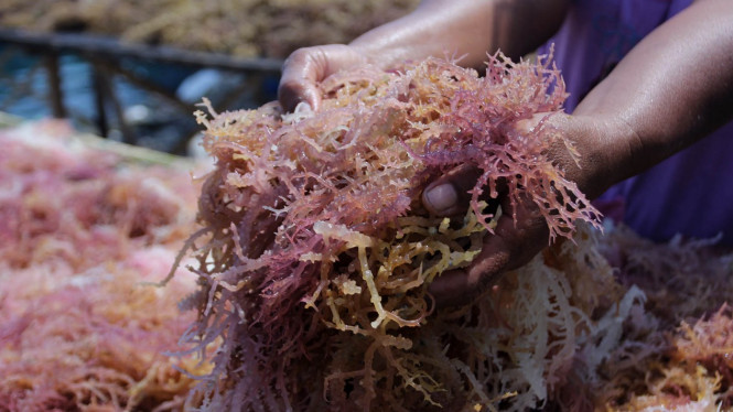 VIVA/Muhamad Solihin