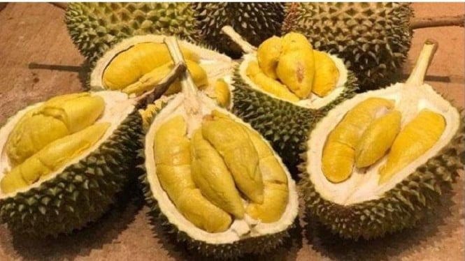 Buah Durian