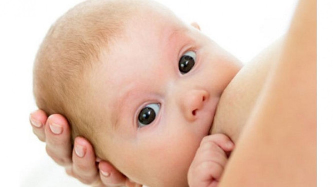 Ibu Sehat Bayi Sehat