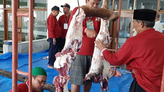 Proses Penyiapan Daging Kurban Idul Adha