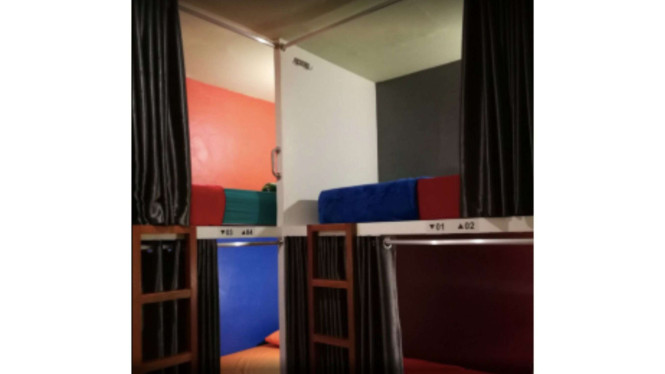 Sleepy Raccoon Capsule Hotel