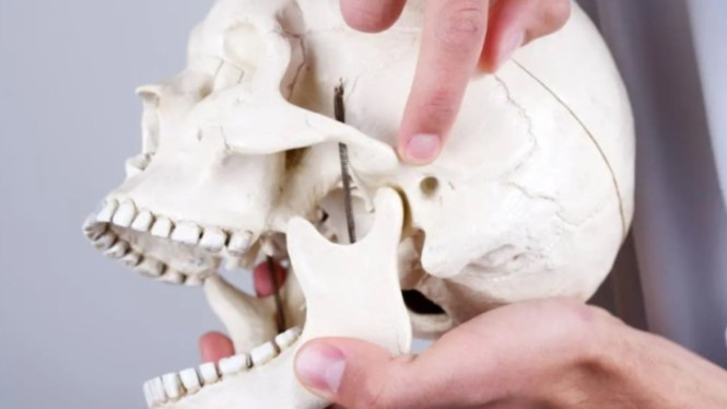 TMJ Specialist Sidney