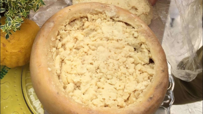 Casu Marzu (Sardinia, Italia)