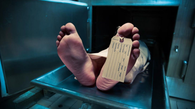 Medical News today