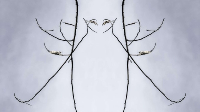 Ilustrasi tes kepribadian