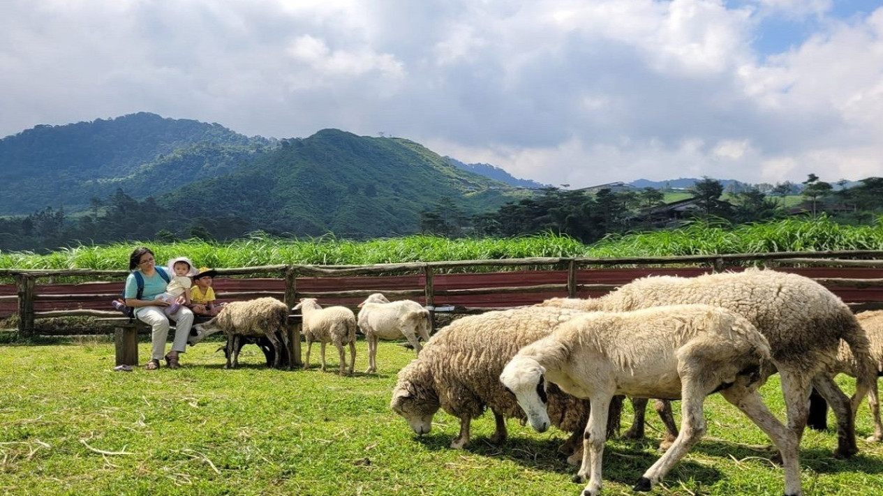 Foto Menggala Ranch Banyumas, Wisata Edukasi & Alam yang Cocok untuk ...