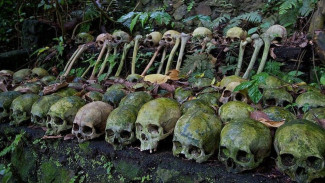 Mengenal Keunikan Tradisi Pemakaman Terbuka di Desa Trunyan