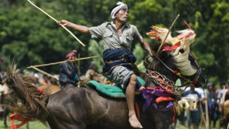 Tradisi Pasola di Sumba yang Penuh Makna dan Adrenalin