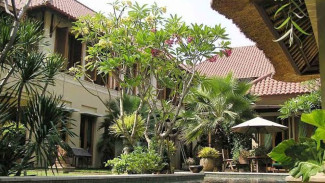 Kamboja Pohon Sakral yang Menjadi Simbol Keindahan dan Spiritualitas Bali
