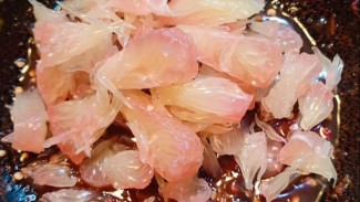 Resep Rujak Jeruk Bali yang Pedes Asem Segar