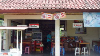 Photo Mini 2
