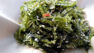Resep Praktis Rujak Bulung, Camilan Khas Bali yang Segar dan Sehat
