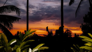 Ubud dikenal dengan hamparan sawah hijau, kekayaan budaya, dan pesona spiritualnya yang kuat. Namun siapa sangka, kawasa