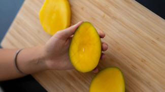 Hati-hati Mangga Bisa Jadi Berbahaya Jika Dikonsumsi