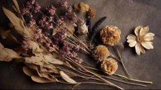 Percantik Ruang dengan Bunga Kering, Hiasan Estetik yang Tahan Lama