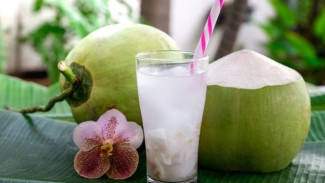 Wajib Coba! 4 Minuman Dingin Segar Favorit Kaum Rebahan