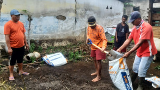Kandang Kambing Anda Dibersihkan Juma’ari Secara Gratis dan Malah Dapat Cuan, Kok Bisa?