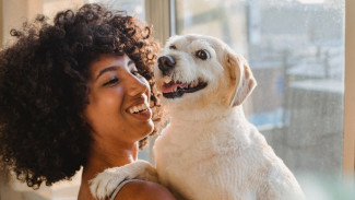 Ada 7 Tanda Ini Berarti Anjing Peliharaan Anda Bahagia
