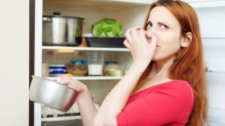 Usir Aroma Tak Sedap! Jurus Ampuh Membuat Kulkas Kembali Segar