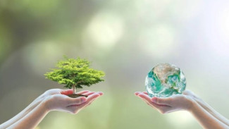 Green Living Tanpa Ribet, Tips Nyata untuk Gaya Hidup Berkelanjutan