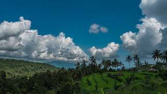 Photo Mini 3