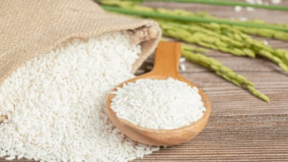 Apakah Benar Beras Porang dapat Tahan Lapar Lebih Lama?