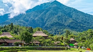 Makan Sehat ala Bali, Dari Kebun ke Meja Tanpa Bahan Kimia