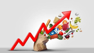 Tips Belanja Cerdas di Tengah Inflasi