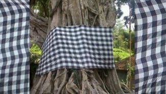 Pohon Beringin Dari Pelindung Desa hingga Doa