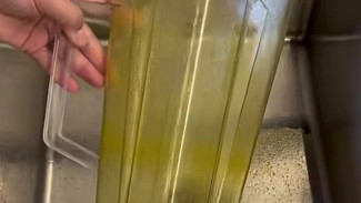 Blender Menguning? Ini 4 Cara Cepat Menghilangkan Noda Kunyit