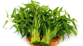 Jangan Buang Batang Kangkung, Ternyata Bisa Jadi Tanaman Baru!