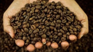 Kopi Kintamani dan Potensi Produk Lokal Bali Lainnya di Pasar Global