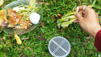 Solusi Alami yang Keren dan Berdaya Guna dengan Biopori