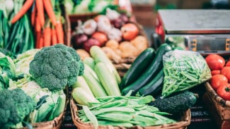 Berapa Lama Sayuran Bertahan di Kulkas? Ini Panduan Lengkap agar Nutrisi Tetap Maksimal!