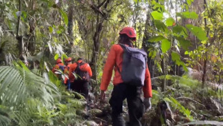 Diduga Tersesat Ibu dan Anak Hilang di Gunung Batukaru