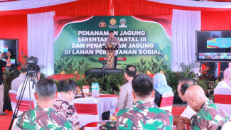 Bersama Petani Lombok Barat, Kapolda NTB Wujudkan Swasembada Lewat Jagung