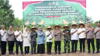 Polresta Mataram Tanam Jagung Serentak, Dukung Swasembada Pangan Nasional