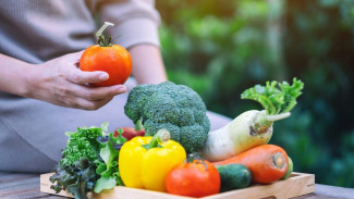 Sayur dan Buah Awet Meski Tanpa Kulkas? Ini Tipsnya!