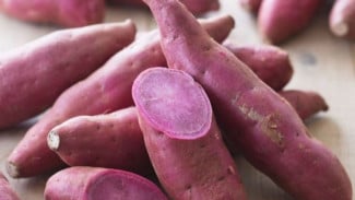 Kuliner Purple Food Trend Makanan Sehat Berbasis Ubi Ungu dan Bunga Telang Bali