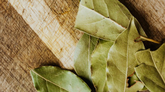 Sering Busuk? Ini Cara Menyimpan Daun Salam dan Daun Jeruk Agar Awet