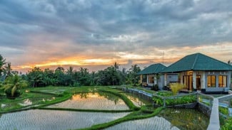 Staycation di Tengah Sawah 8 Villa Baru dengan Pemandangan Terasering