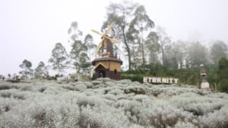 Taman Edelweis Bali Spot Wisata Cantik yang Instagramable