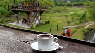 Kopi Bali, Aroma Tradisi di Setiap Tegukan