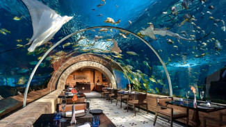 Koral Restaurant Bali, Menyelami Pesona Dunia Bawah Laut Melalui Santapan Bistronomi di Apurva Kempinski