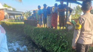 Mayat Lansia di Lombok Tengah Ditemukan Terkapar di Sawah