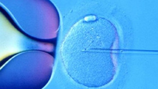 Mau Program Bayi Tabung Berhasil? Stop Lakukan Kebiasaan Ini Mulai Sekarang!