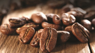 Arabika vs. Robusta, Siapa Raja Kopi Sejati?
